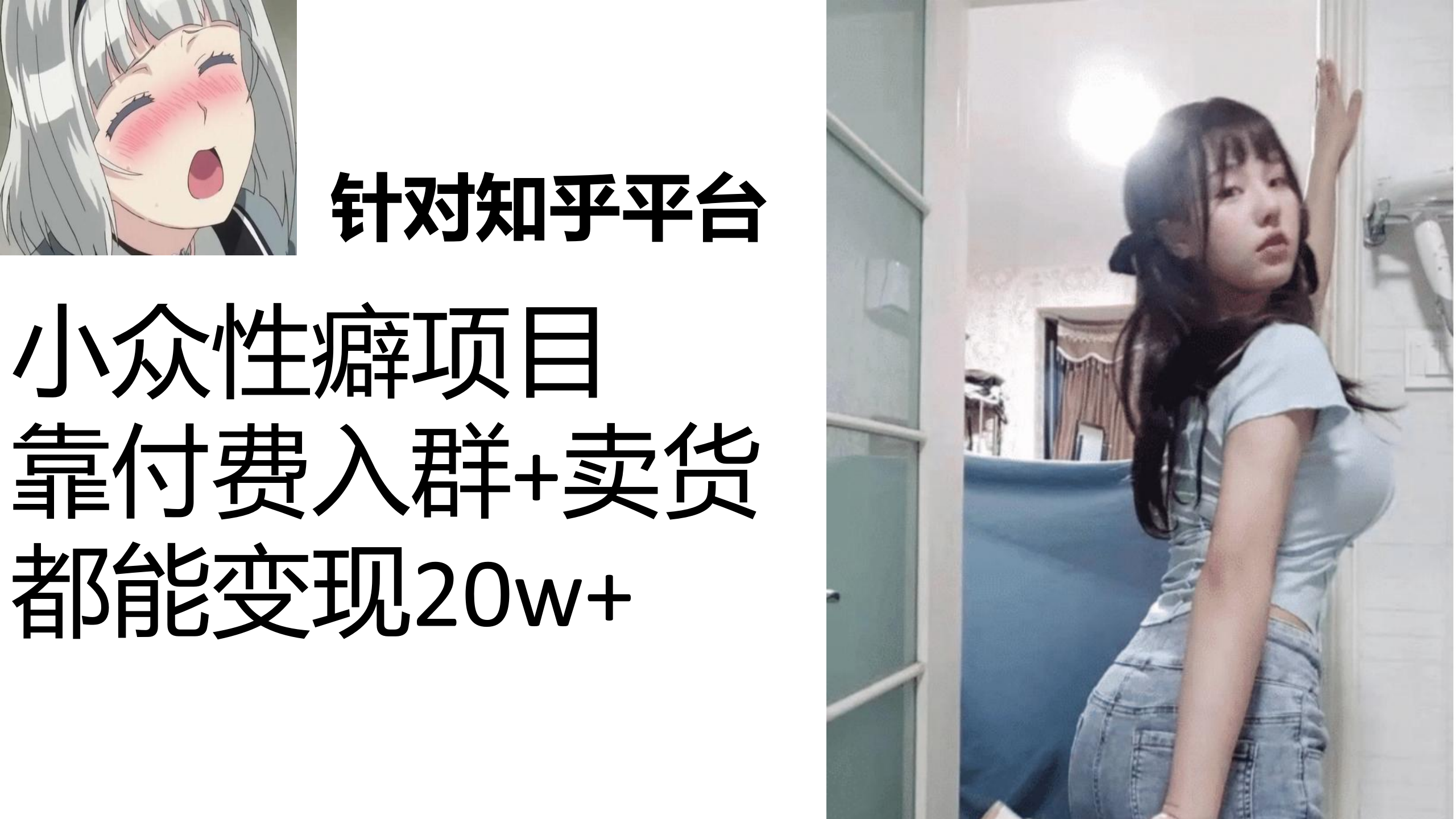 知乎小众性癖项目，Lsp的钱才是最好赚的，付费建群+卖货变现20w-梦帆创业网