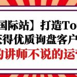 【阿里国际站】打造Top店铺-获得优质询盘客户，95%的讲师不说的运营技巧-梦帆创业网