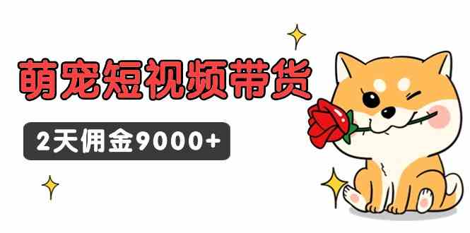 （9273期）东哲日记·萌宠短视频带货，2天佣金9000+-梦帆创业网