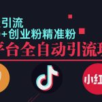 小红书抖音视频号截流自热全平台引流打法，全自动引流【日引2000+精准…-梦帆创业网