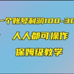 一个账号100-300，有人靠他赚了30多万，中视频另类玩法，任何人都可以做到-梦帆创业网
