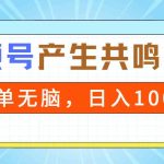 （9133期）2024年视频号，产生共鸣赛道，简单无脑，一分钟一条视频，日入1000+-梦帆创业网