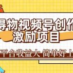 得物视频号创作激励项目，新平台收益大，无脑复制粘贴 一万播放100+，一-梦帆创业网