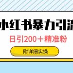 （9582期）小红书暴力引流大法，日引200＋精准粉，一键触达上万人，附详细实操-梦帆创业网
