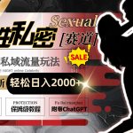 全网最新男性私密赛道玩法，引爆私域流量，轻松日入2000+-梦帆创业网