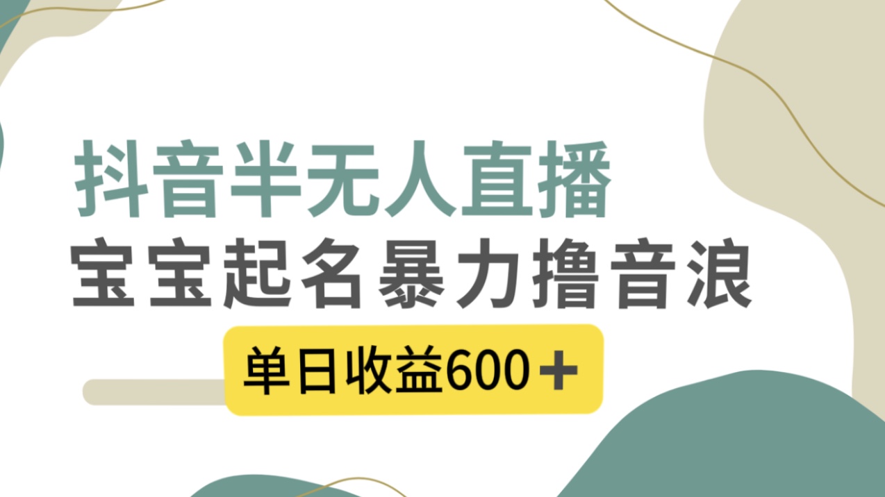 抖音半无人直播，宝宝起名，暴力撸音浪，单日收益600+-梦帆创业网