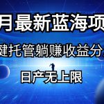 （10469期）五月刚出最新蓝海项目一键托管 躺赚收益分成 日产无上限-梦帆创业网