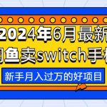 （10831期）2024年6月最新闲鱼卖switch游戏手柄，新手月入过万的第一个好项目-梦帆创业网