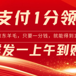 京东支付1分得16元实操到账200-梦帆创业网