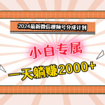 2024最新微信视频号分成计划，对新人友好，一天躺赚2000+-梦帆创业网