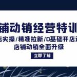 店铺动销经营特训营：起店实操/精准拉新/0基础开店运营/店铺动销全面升级-梦帆创业网