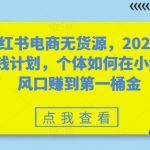 小红书电商无货源，2024年搞钱计划，个体如何在小红书风口赚到第一桶金-梦帆创业网