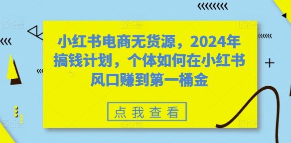 小红书电商无货源，2024年搞钱计划，个体如何在小红书风口赚到第一桶金-梦帆创业网