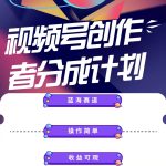 （10804期）蓝海项目，视频号创作分成计划，小白也能轻松上手，日入1000+-梦帆创业网