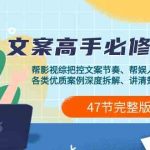 影视综纪文案高手必修课2.0：文案课/案例课/认知课/题材课/变现课/加餐课-梦帆创业网