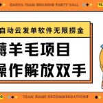 最新薅羊毛项目通过全自动云发单软件在羊毛平台无限捞金日入200+-梦帆创业网