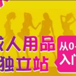 成人用品独立站从0-1入门，成品独立站运营全流程教学，七大好卖成品独立站推荐-梦帆创业网