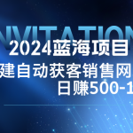 2024蓝海项目，搭建销售网站，自动获客，日赚500-1000-梦帆创业网