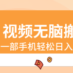 视频无脑搬砖，一部手机轻松日入400+-梦帆创业网