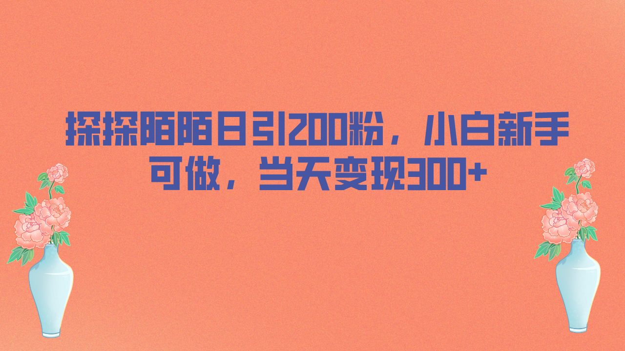 探探陌陌日引200粉，小白新手可做，当天就能变现300+-梦帆创业网