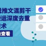 海外TK小说推文混剪干货，无脑搬运深度去重技术-梦帆创业网