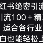 小红书绝密引流术，一天引流100＋精准流量，适合各个行业，小白也能轻松上手-梦帆创业网