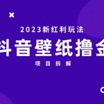 2023新红利玩法：抖音壁纸撸金项目-梦帆创业网