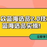 （9189期）拼多多培训第33期：小众蓝海选品2.0技术-蓝海选品实操！-梦帆创业网