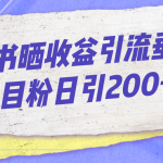 小红书晒收益图引流垂直项目粉日引200+-梦帆创业网
