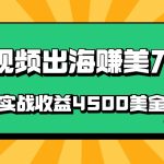 国内爆款视频出海赚美刀，实战收益4500美金，批量无脑搬运，无需经验直接上手-梦帆创业网