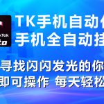 （10815期）海外抖音TK手机自动挂机，每天轻松搞2张-梦帆创业网