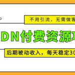 CNDN付费资源项目,不用引流,无需做客服,后期被动收入,每天稳定300+-梦帆创业网