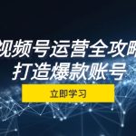 （12912期）视频号运营全攻略，从定位到成交一站式学习，视频号核心秘诀，打造爆款…-梦帆创业网