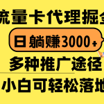 （10771期）流量卡代理掘金，日躺赚3000+，首码平台变现更暴力，多种推广途径，新…-梦帆创业网