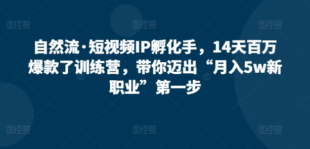 自然流·短视频IP孵化手，14天百万爆款了训练营，带你迈出“月入5w新职业”第一步-梦帆创业网