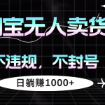 （12780期）淘宝无人卖货4，不违规不封号，简单无脑，日躺赚1000+-梦帆创业网