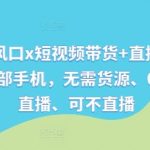 视频号新风口x短视频带货+直播带货，全程只需一部手机，无需货源、0粉丝、可直播、可不直播-梦帆创业网