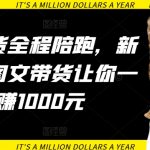 AI图文带货全程陪跑，新手必看，图文带货让你一天多赚1000元-梦帆创业网