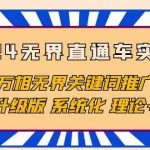 （10075期）2024无界直通车实战班，万相无界关键词推广，4.0升级版 系统化 理论+实操-梦帆创业网