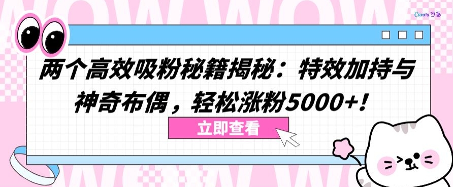 两个高效吸粉秘籍揭秘：特效加持与神奇布偶，轻松涨粉5000+-梦帆创业网