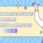 2024医美如何做医美类抖音号，本地团购、短视频直播双ip爆品引流（30节）-梦帆创业网