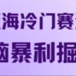 最新蓝海冷门赛道音频，无脑暴利掘金-梦帆创业网