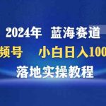 （9515期）2024年蓝海赛道 视频号  小白日入1000+ 落地实操教程-梦帆创业网