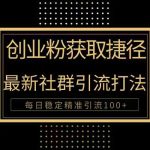 （10040期）创业粉捷径！最新被动引流方法大揭秘，实现每日100+精准引流-梦帆创业网