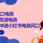 2024新风口电商，小红书无货源电商，带第一批冲进小红书电商风口（32节）-梦帆创业网