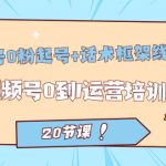 视频号·0粉起号+话术框架线上课：视频号0到1运营培训班（20节课）-梦帆创业网