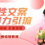 独家人性文案玩法，暴力引流多重变现。喂饭级教程！-梦帆创业网