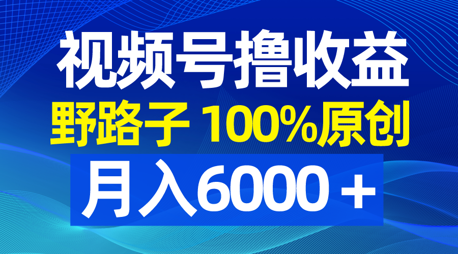 视频号野路子撸收益，100%原创，条条爆款，月入6000＋-梦帆创业网