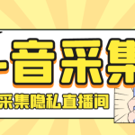 外面收费888的神秘人斗音获客助手/可采集隐私直播间【采集脚本+详细教程】-梦帆创业网