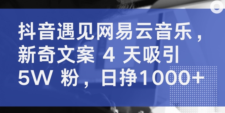 抖音遇见网易云音乐，新奇文案 4 天吸引 5W 粉，日挣1000+-梦帆创业网